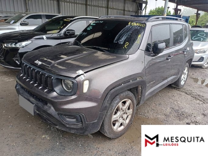 JEEP RENEGADE 23/23
