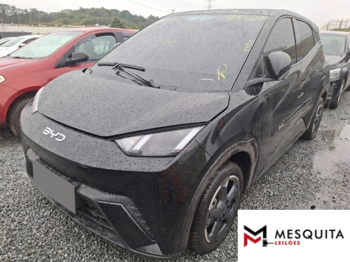 BYD DOLPHIN MINI 24/25