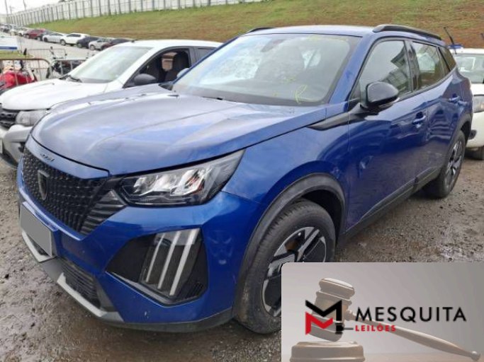 PEUGEOT 2008 24/25