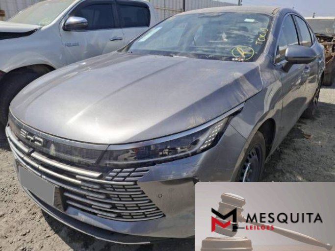 BYD KING 24/25