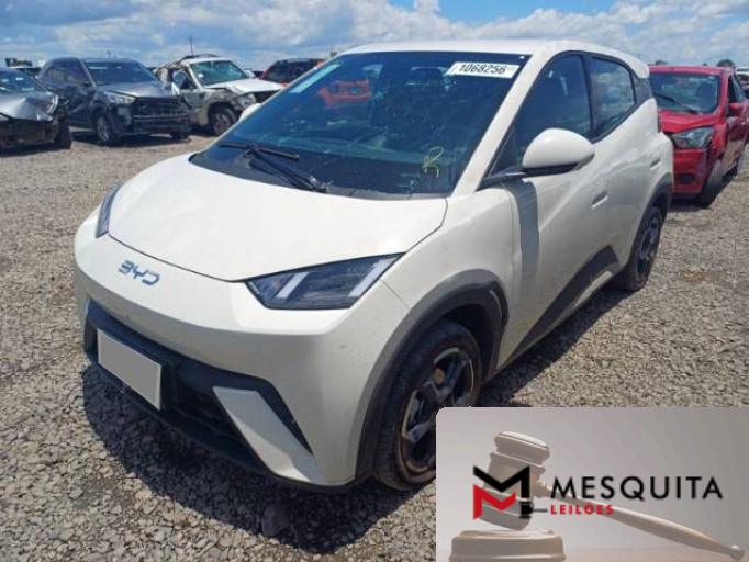 BYD DOLPHIN MINI 25/26